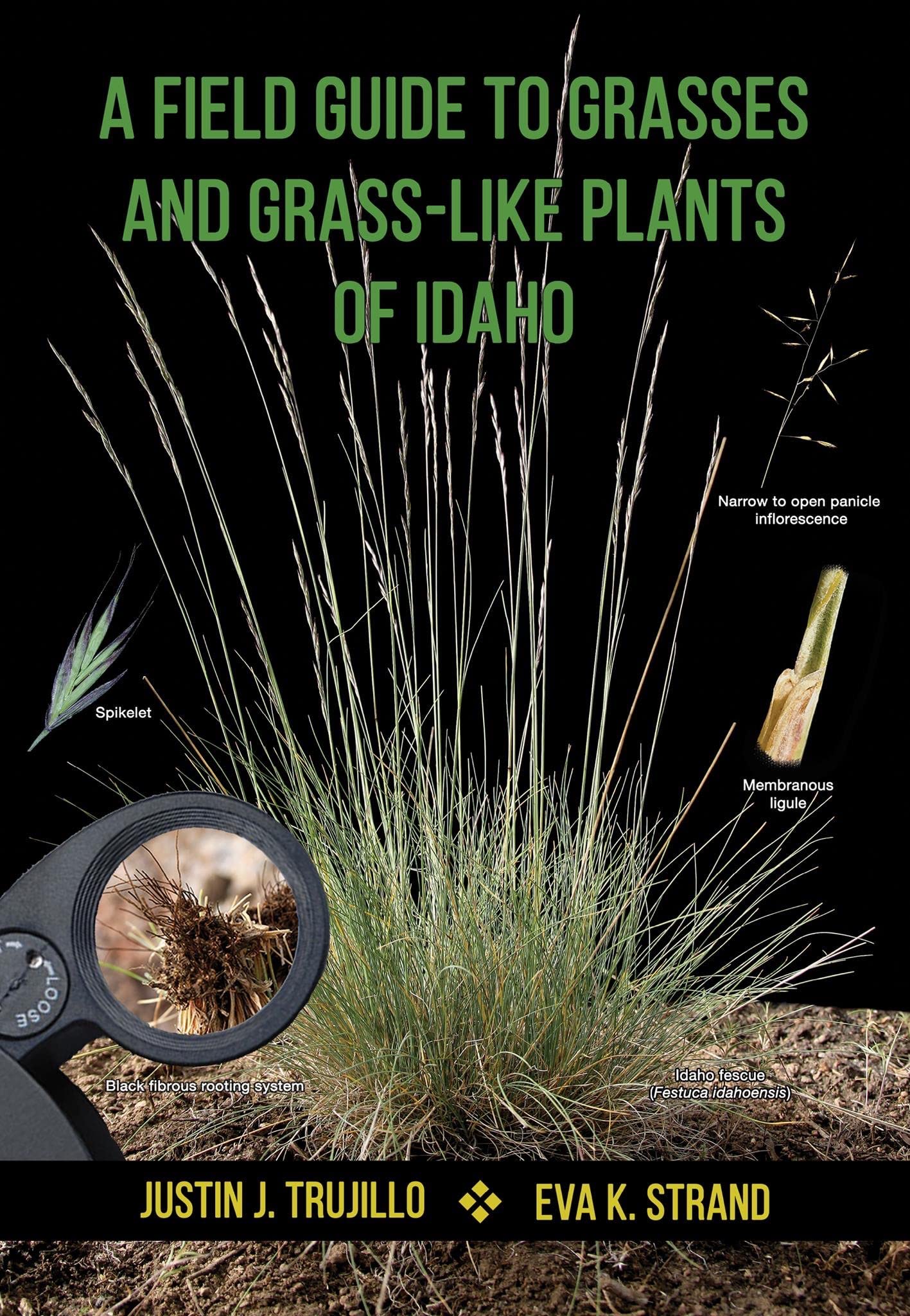 A Field Guide to Grasses and Grass-Like Plants of Idaho (Spiral-bound)