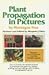 Plant Propagation in Pictures by Montague Free