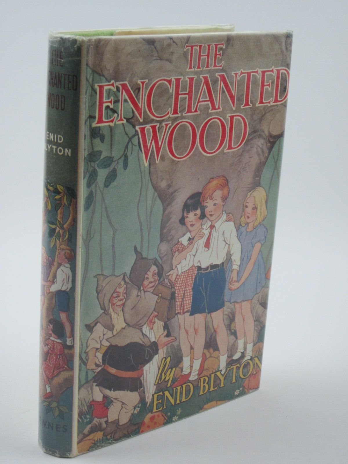 The enchanted wood