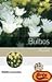 Bulbos / Bulb: Genios De La...