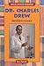 Dr. Charles Drew: Blood Bank Innovator (African-American Biographies (Enslow)) by Anne E. Schraff (2003-06-01)
