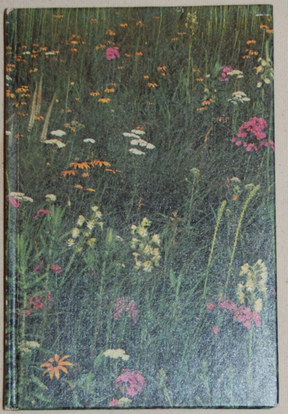 The Prairie: Swell and Swale From Nature (Hardcover)