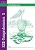 KS2 Comprehension Book 1
