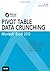 Excel 2013 Pivot Table Data Crunching (MrExcel Library) by Bill Jelen (2013-01-26)