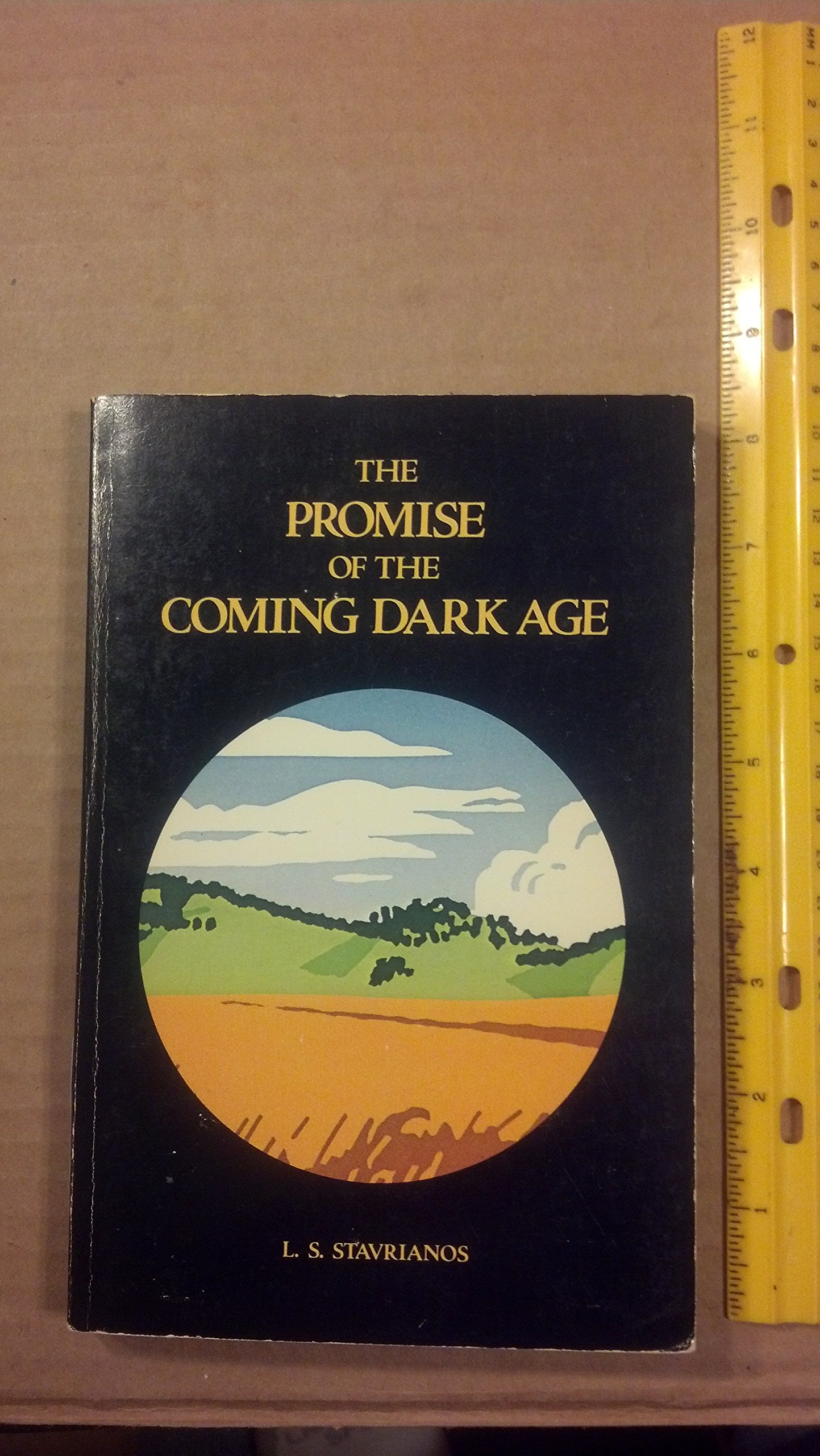 The Promise of the Coming Dark Age (Paperback)