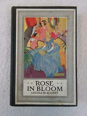 Rose in Bloom