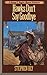 Hawks Don't Say Goodbye (Nathan T. Riggins Western Adventure Volume 6)