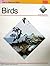 Birds (How to Draw & Paint Series)
