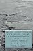Arctic Ecosystems in a Changing Climate: An Ecophysiological Perspective by Academic Press (1991-11-26)
