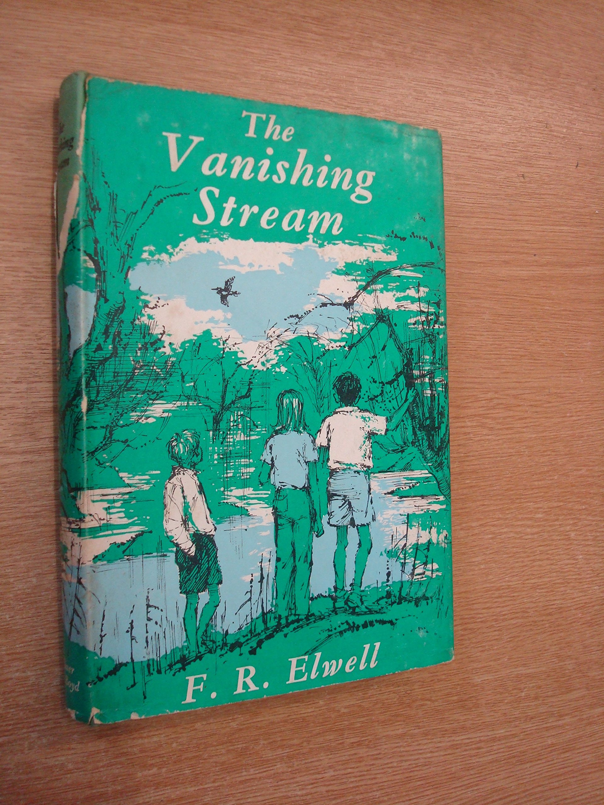 The Vanishing Stream (Hardcover)