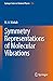 Symmetry Representations of Molecular Vibrations (Springer Series in Chemical Physics)