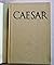 Gaius Julius Caesar: Aufstieg und Fall eines römischen Politikers : Biografie