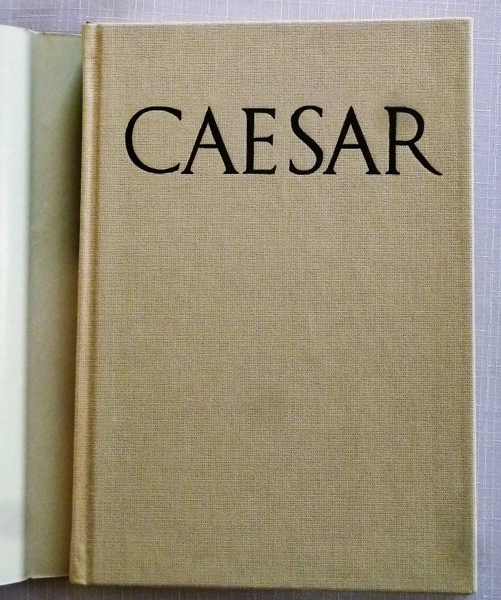 Gaius Julius Caesar: Aufstieg und Fall eines römischen Politikers : Biografie (Hardcover)