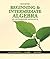 Student Solutions Manual for Gustafson/Karr/Massey's Beginning and Intermediate Algebra: An Integrated Approach, 6th by R. David Gustafson (2010-01-29)