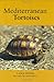 Mediterranean Tortoises by Lance Jepson (1-Mar-2006) Hardcover