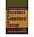 [(A Practical Guide to Acceptance and Commitment Therapy)] [Author: Stephen C. Hayes] published on (February, 2005)