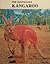 The Australian Kangaroo