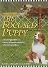 The Focused Puppy...