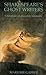 Shakespeare's Ghost Writers: Literature As Uncanny Casualty y 1st edition by Garber, Marjorie (1987) Paperback