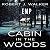 EMP the Cabin in the Woods:...