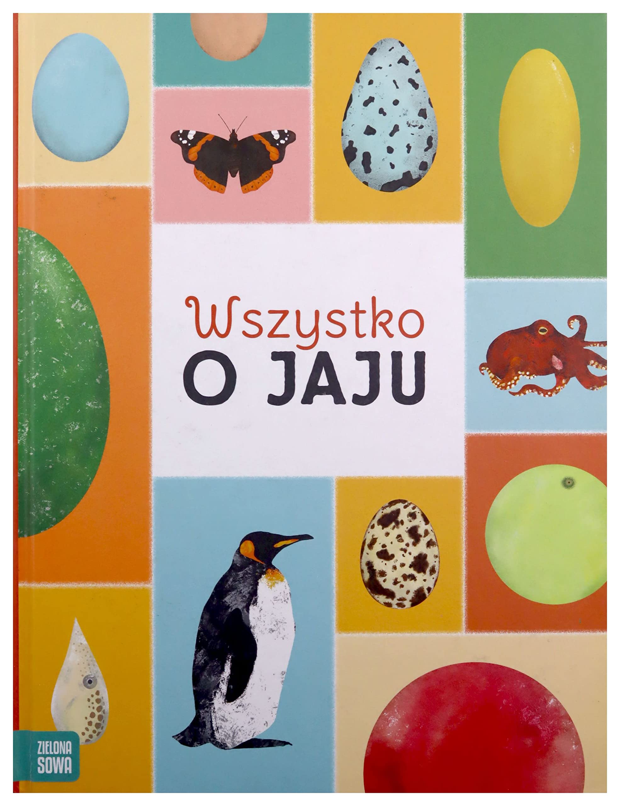 Wszystko o jaju (Hardcover)