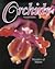 Orchids: Wonders of Nature