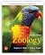 Zoology by Stephen       Miller
