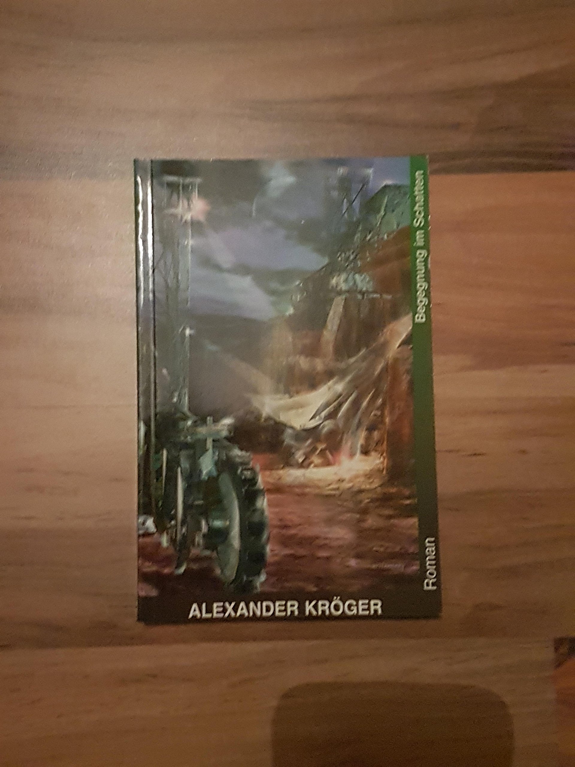 Begegnung im Schatten: Roman (Livre en allemand)