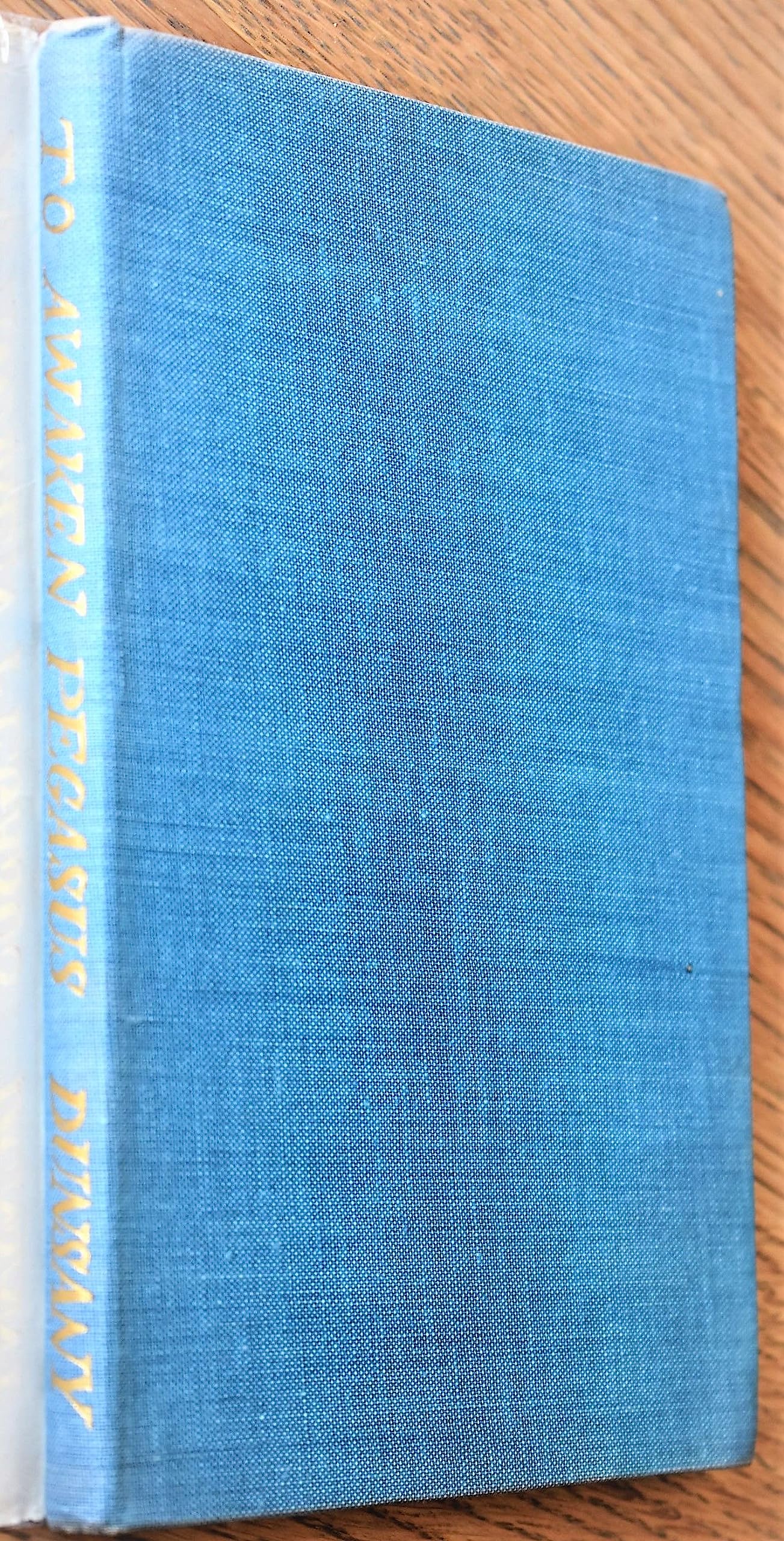 To Awaken Pegasus and Other Poems (Hardcover)