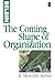 The Coming Shape of Organization by R Meredith Belbin (1998-05-04)