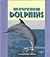 Diving Dolphins