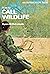 How to Call Wildlife