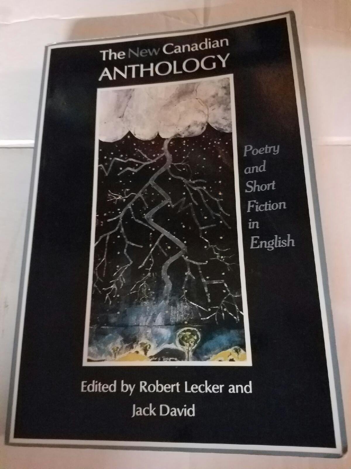THE NEW CANADIAN ANTHOLOGY: Poetry and Short Fiction in English (Paperback)