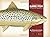 Freshwater Game Fish of North America: An Illustrated Guide by Thompson, Peter G. (2009) Hardcover