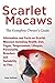 Scarlet Macaws, Information and Facts on Scarlet Macaws, The Complete Owner's Guide including Breeding, Lifespan, Personality, Cages, Temperament, Diet and Keeping them as Pets by Sullivan, Rose (2013) Paperback