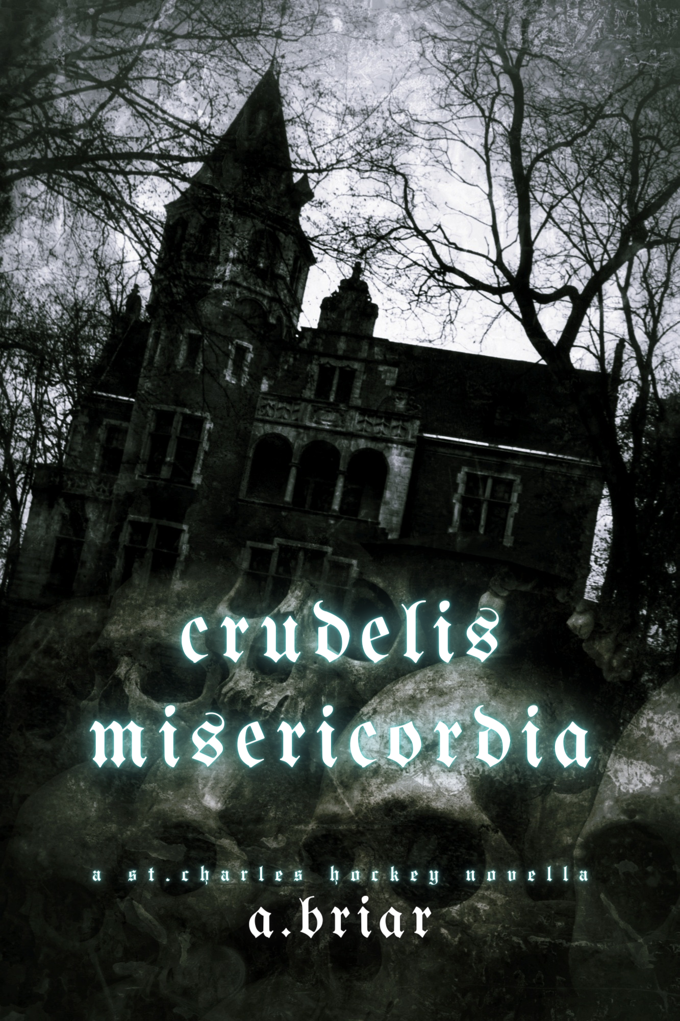 Crudelis Misericordia (ebook)