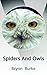 Spiders And Owls