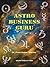Astro Business Guru