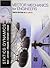 Vector Mechanics for Engineers: Statics and Dynamics - International Economy Edition