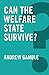 Can the Welfare State Survive (Global Futures) by Andrew Gamble (2016-04-18)