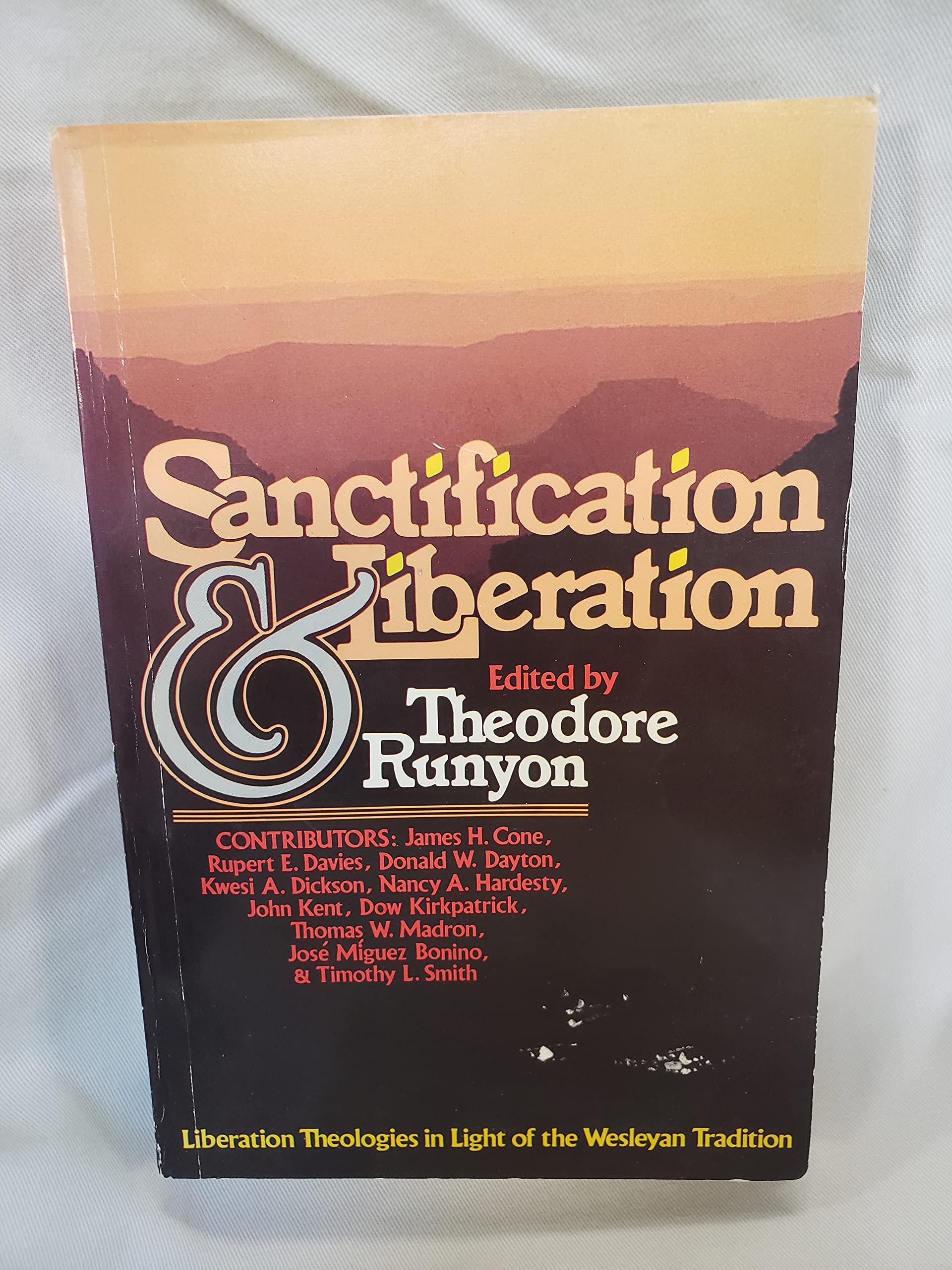 Sanctification & liberation: Liberation theologies in light of the Wesleyan tradition (Paperback)