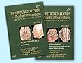 The Netter Collection of Medical Illustrations - Nervous System Package: 2-Volume Set, 2e (Netter Green Book Collection) 2nd edition by Jones Jr. Jr., H. Royden, Burns, Ted (2013) Hardcover
