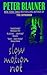 Slow Motion Riot (1992-07-01)