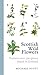 Scottish Wild Flowers by Scott, Michael (2011) Paperback