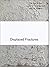 Displaced Fractures by Holger Birkholz (2010-12-23)