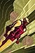 Iron Man: Enter The Mandarin TPB (Iron Man (Marvel Comics) (Quality Paper)) by Joe Casey (2008-05-21)