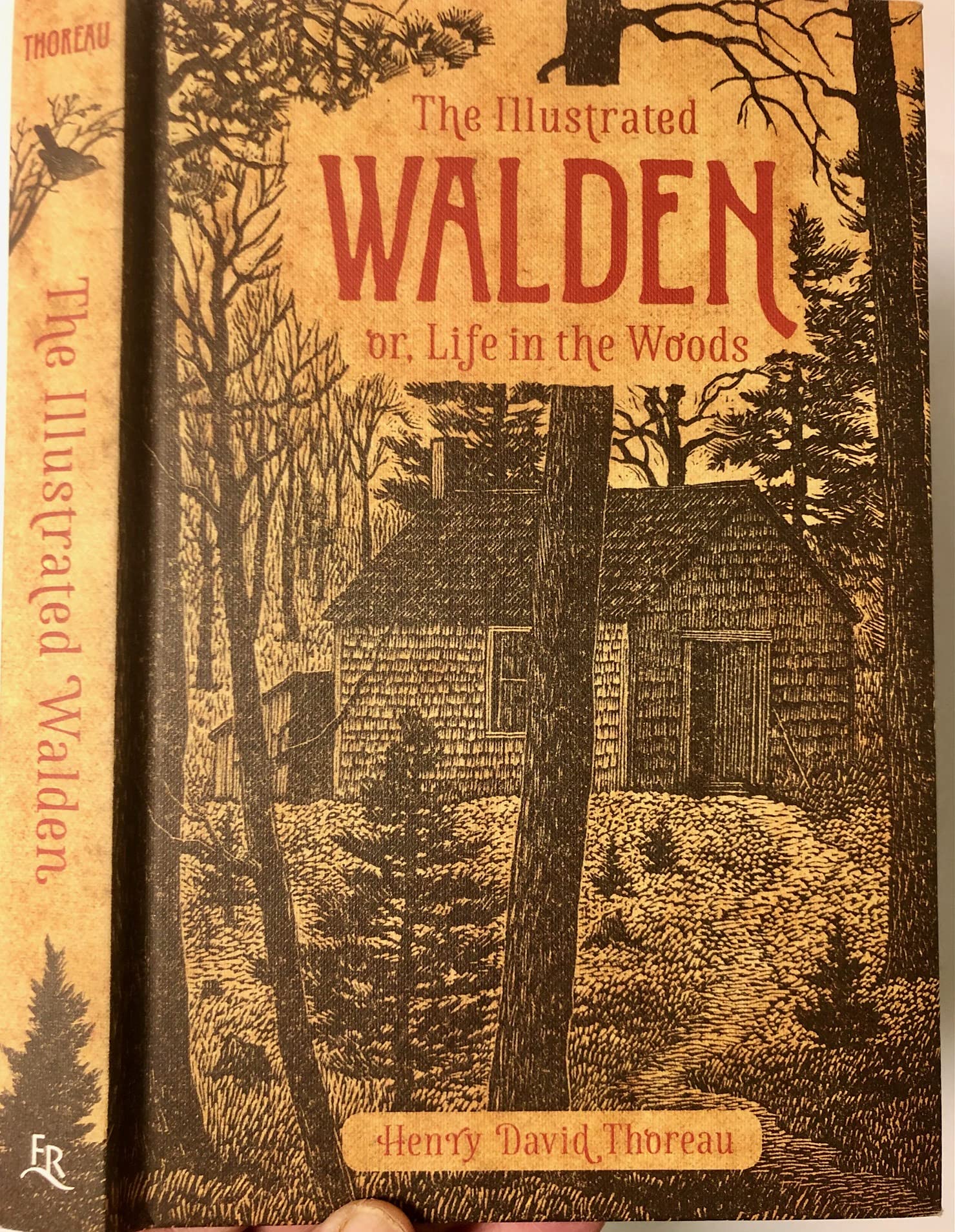 THE ILLUSTRATED WALDEN or, Life in the Woods