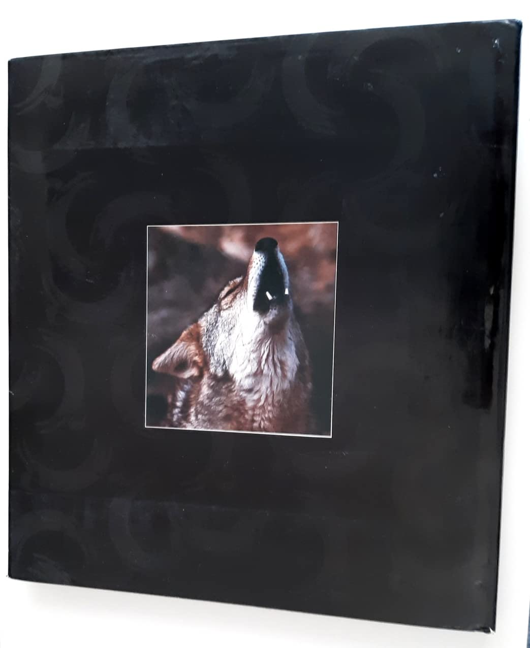 Seasons of the Coyote: The Legend and Lore of an American Icon (Paperback)