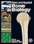 Basic and Applied Bone Biology (2013-08-26)