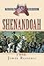 Shenandoah (The Civl War Battle Series, Book 8) [Paperback] [2005] (Author) James Reasoner